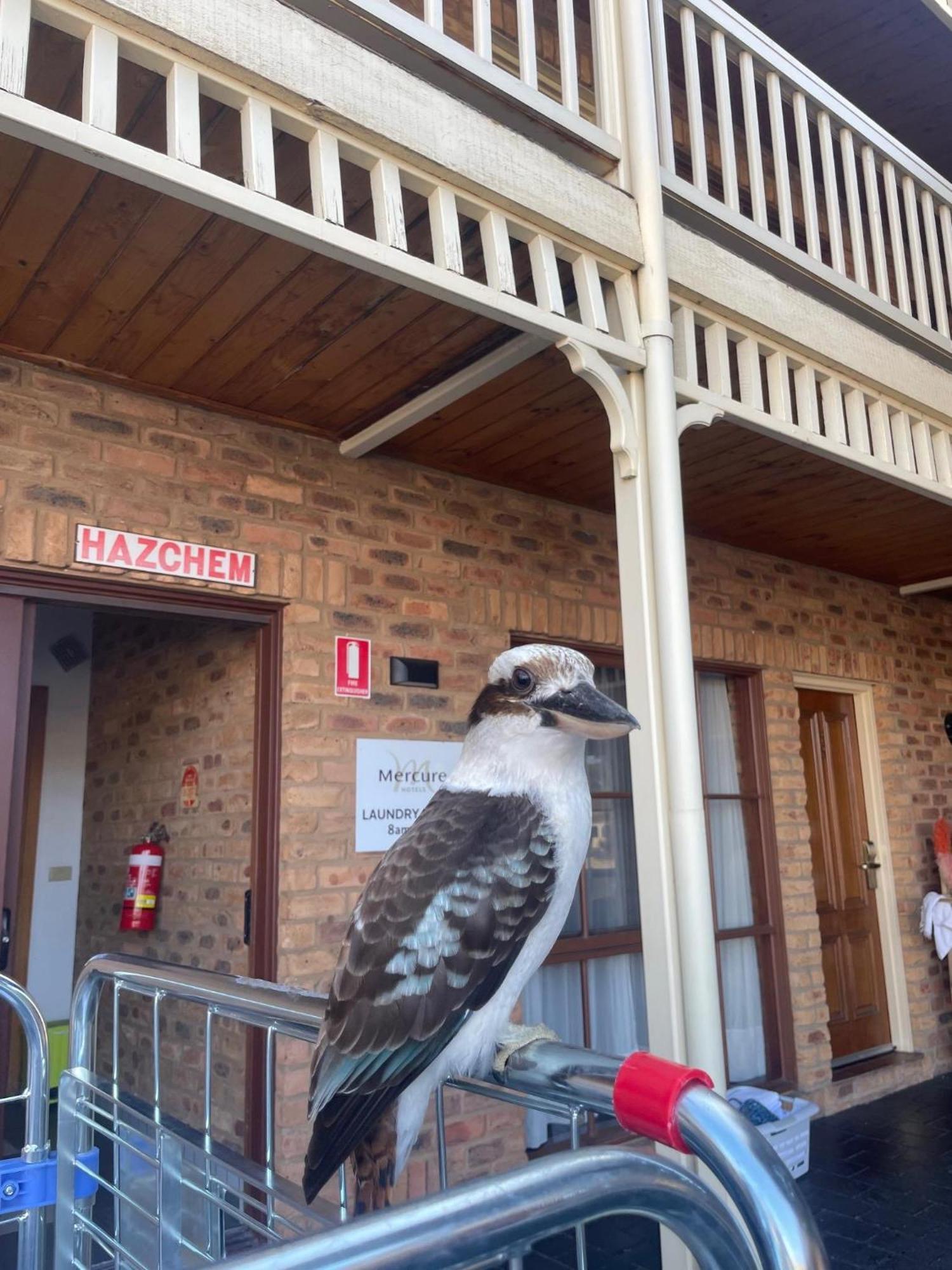 Mercure Port Of Echuca Dış mekan fotoğraf